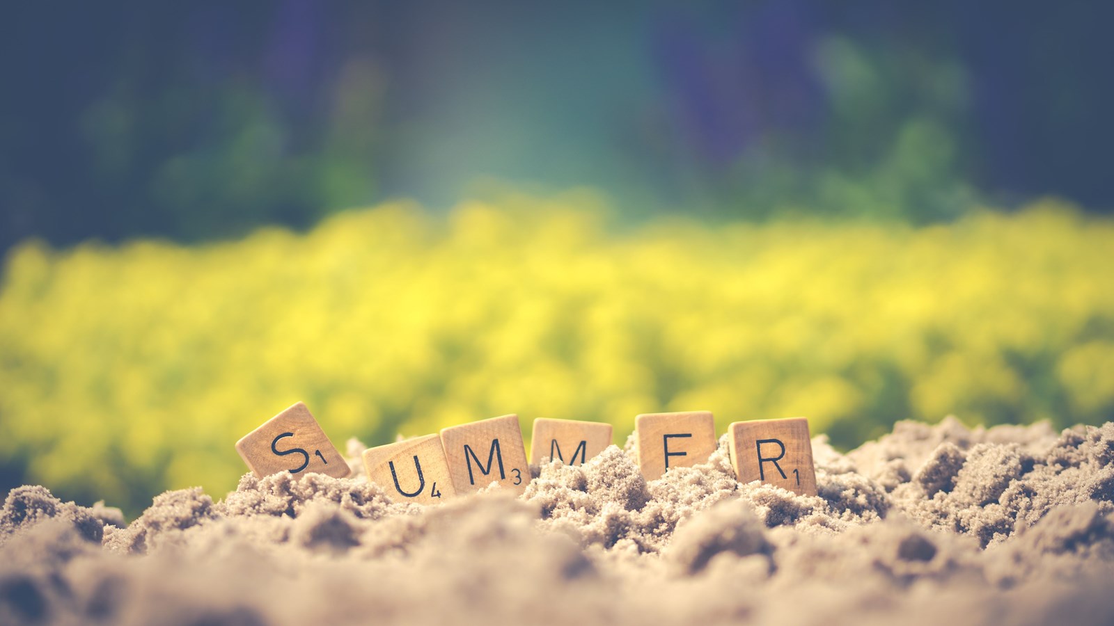 summer tiles in the sand