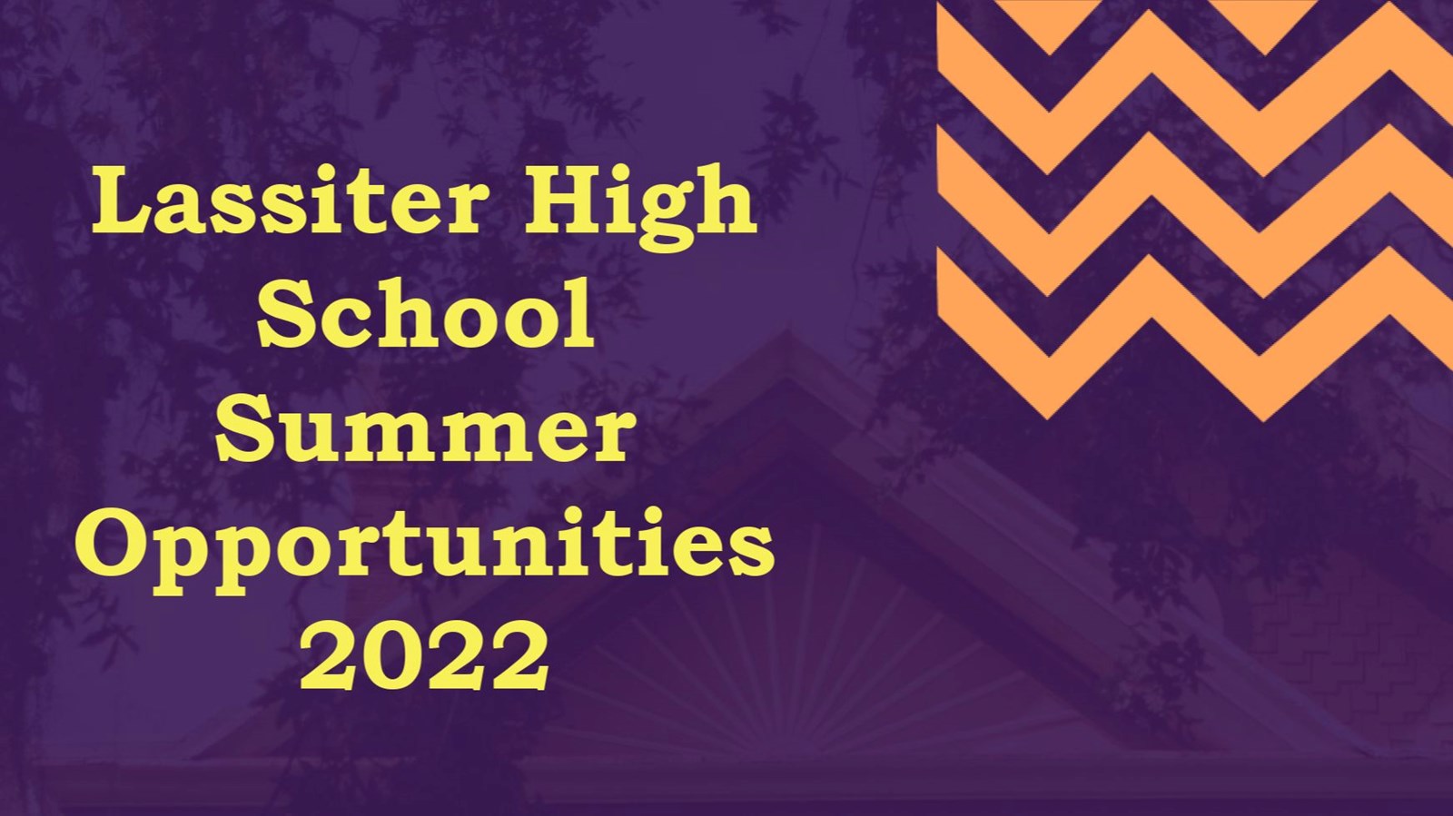 LHS Summer Opportunities