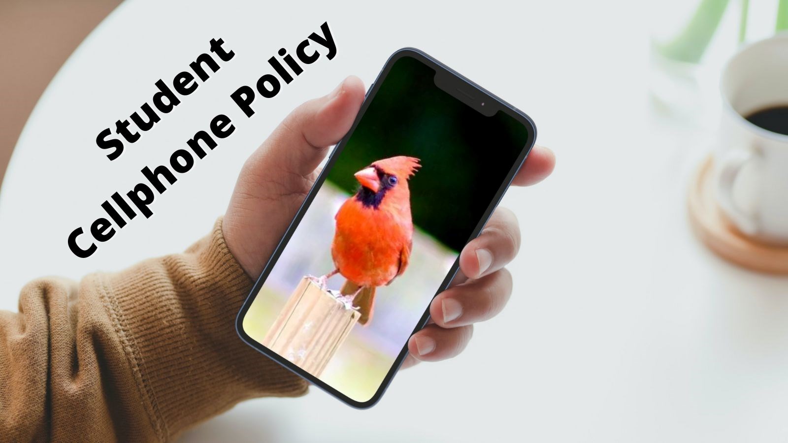 Hand holding cellphone with picture of cardinal on the phone. cup of coffee on the table. Text Reads Student Cellphone Policy